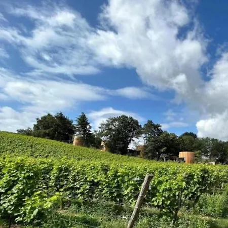 Charming Surrounded By Nature In Durbuy, Cleaning Included